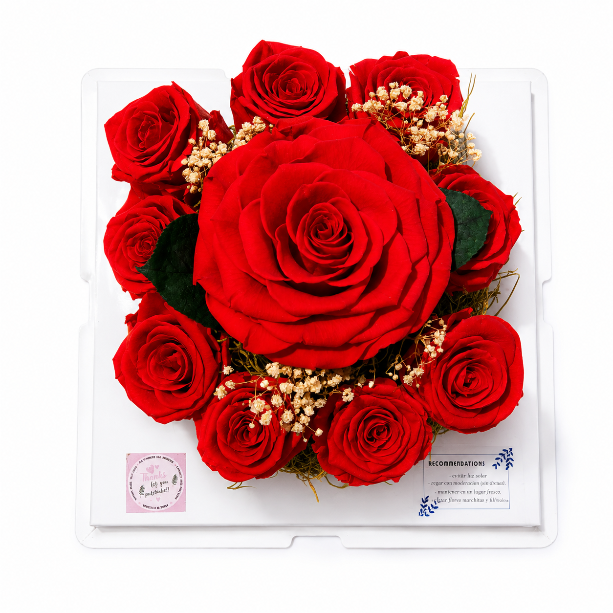10 Red Preserved Roses Arrangement – Just For You