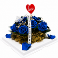 12 Blue Preserved Roses with I Love You Message Gift Box